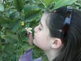 /album/fotogaleria/foto0280-jpg/